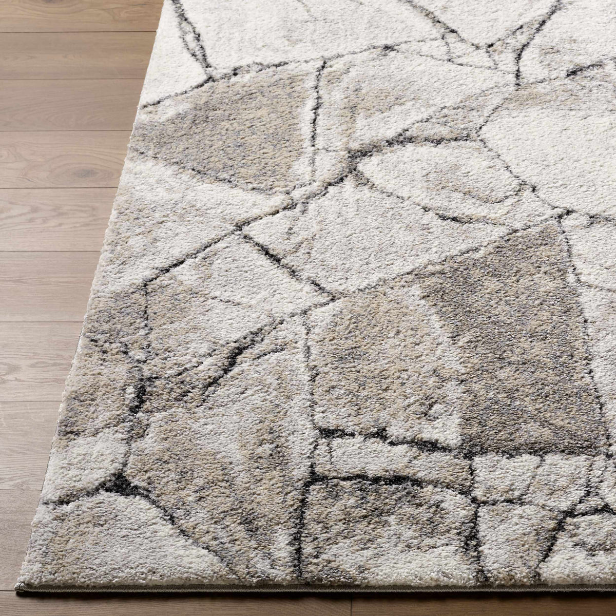 Darena Abstract Area Rug
